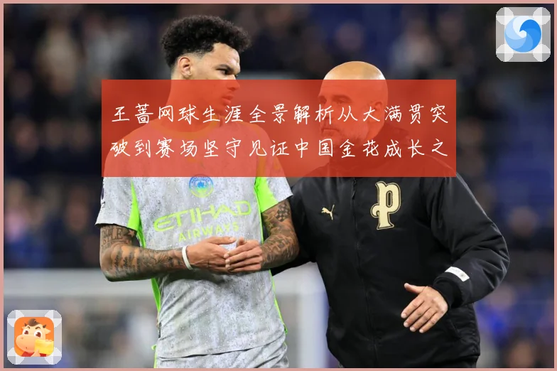 王蔷网球生涯全景解析从大满贯突破到赛场坚守见证中国金花成长之路