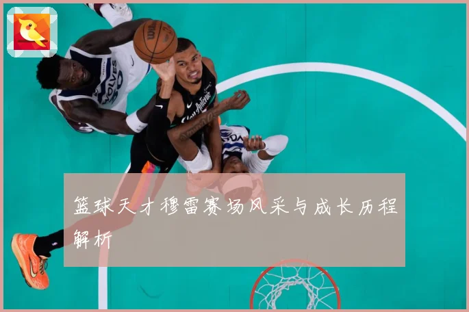 篮球天才穆雷赛场风采与成长历程解析