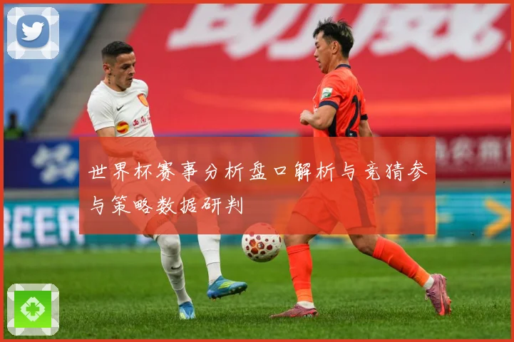 世界杯赛事分析盘口解析与竞猜参与策略数据研判