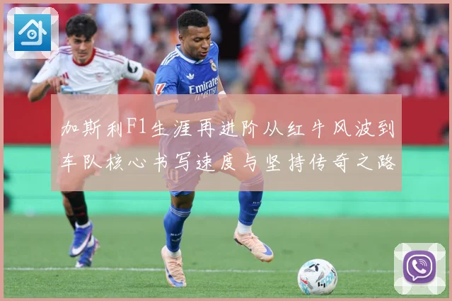 加斯利F1生涯再进阶从红牛风波到车队核心书写速度与坚持传奇之路解析
