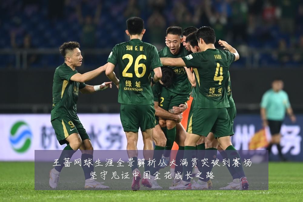 王蔷网球生涯全景解析从大满贯突破到赛场坚守见证中国金花成长之路